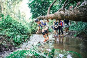 BIB: 
                            <button type="button" onclick="openModal(25477390)" class="btn btn-primary btn-sm float-right btn-popup" data-toggle="modal" data-target=".modal-high-quality">
                        <i class="fas fa-shopping-cart"></i> Add to Cart
                    </button>
                                            <button type="button" onclick="isThisMe(25477390, true)" class="btn btn-success btn-sm float-right btn-popup btn-isme hidden" data-toggle="tooltip" data-placement="bottom" title="นี่คือรูปของคุณใช่ไหม คลิกที่นี่เพื่อเอาเข้าอัลบั้ม">
                        <i class="fas fa-plus"></i> Add to album
                    </button>
                    <button type="button" onclick="isThisMe(25477390, false)" class="btn btn-warning btn-sm float-right btn-popup btn-isnotme hidden">
                        <i class="fas fa-ban"></i> Remove from album
                    </button>